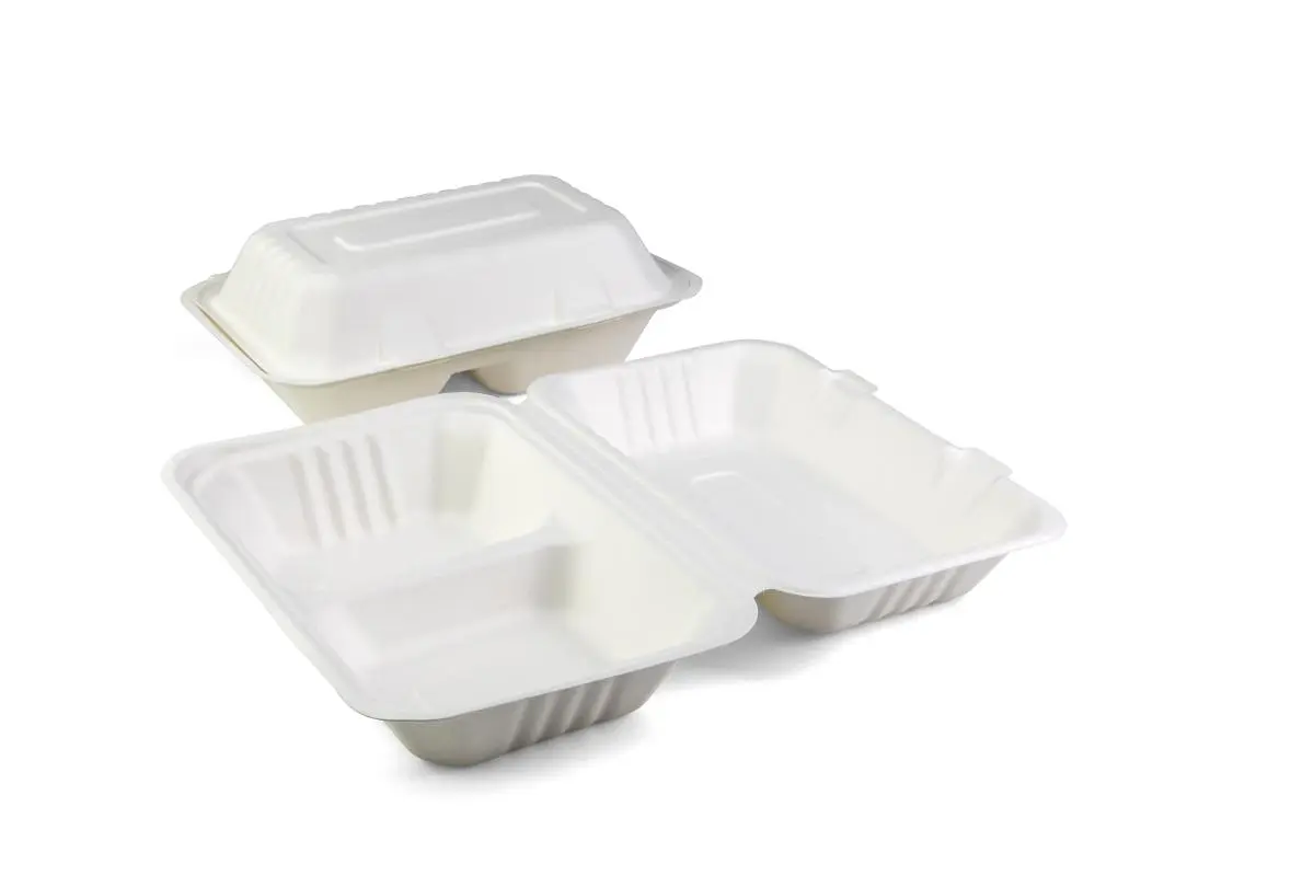 Menüschale rechteckig mit zwei Fächern mit Maßen 230x153x80