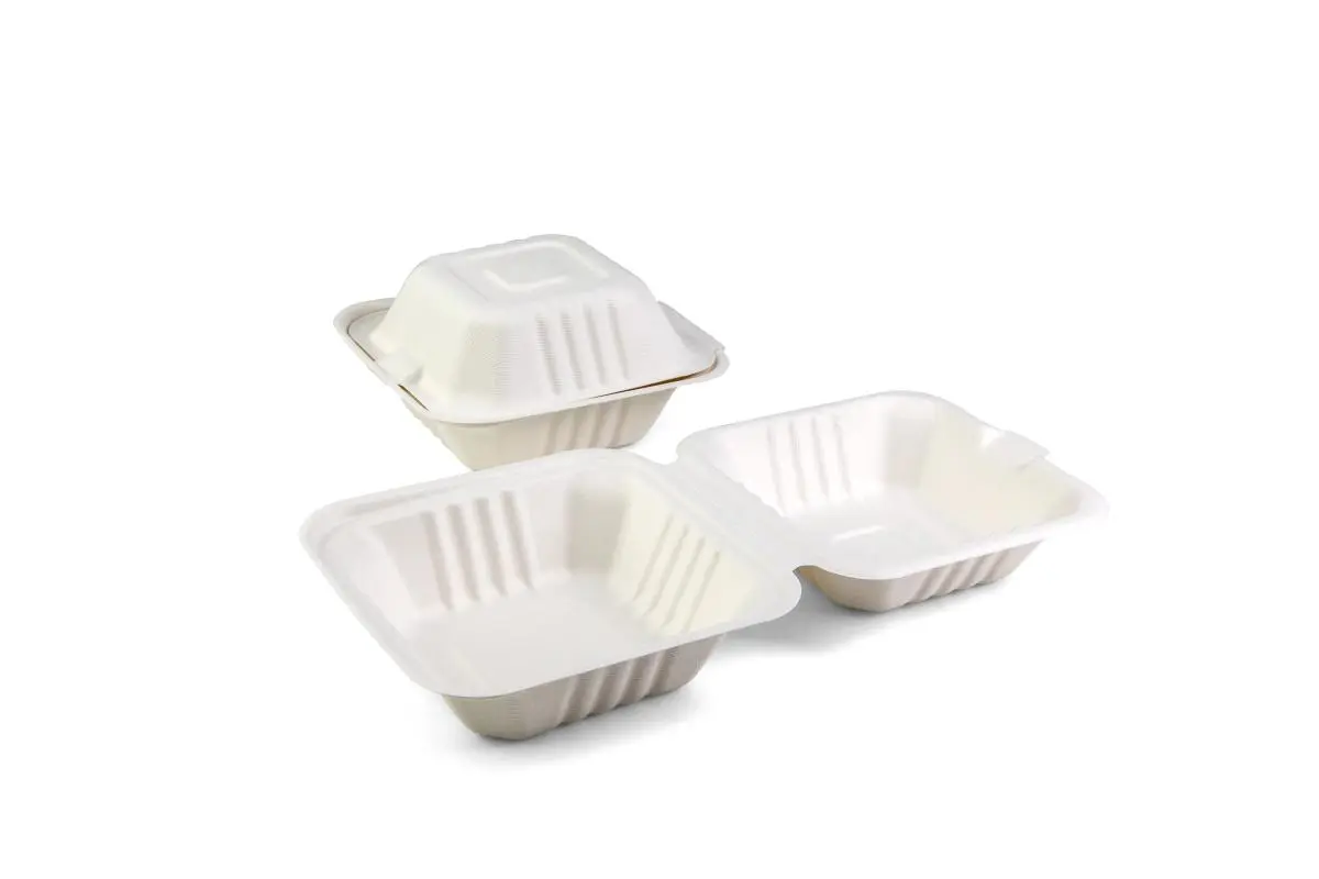 Burgerbox 155x155x76mm Höhe aus der Senza-Reihe aus Zuckerrohr
