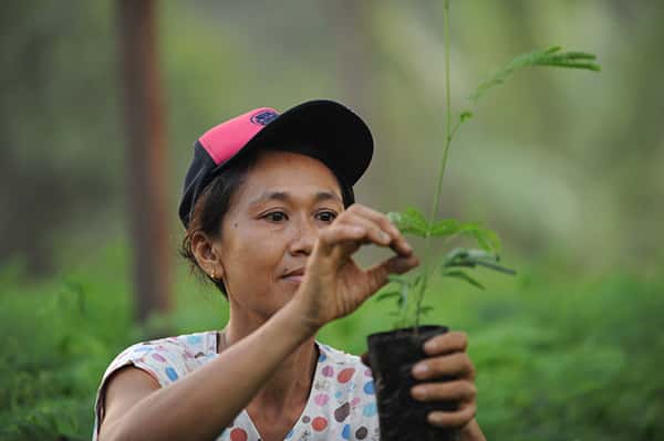 Fairventures Waldaufforstungsprojekt auf Borneo 1